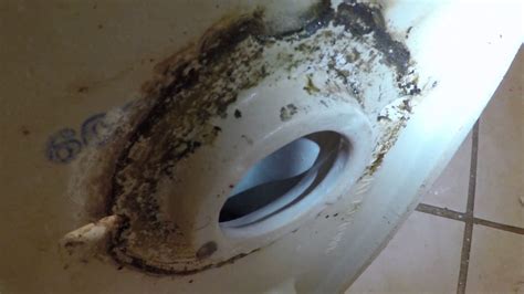 upstairs toilet leaking|Upstairs toilet leaking onto ceiling